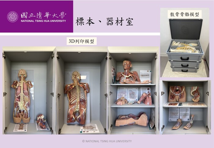圖片說明