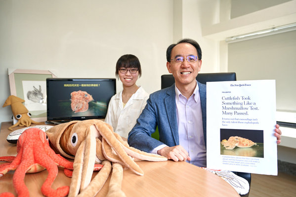 烏賊也懂相對價值 清華研究登紐約時報Image