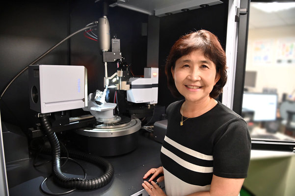 A Ray of Hope for Improving Dementia TreatmentImage