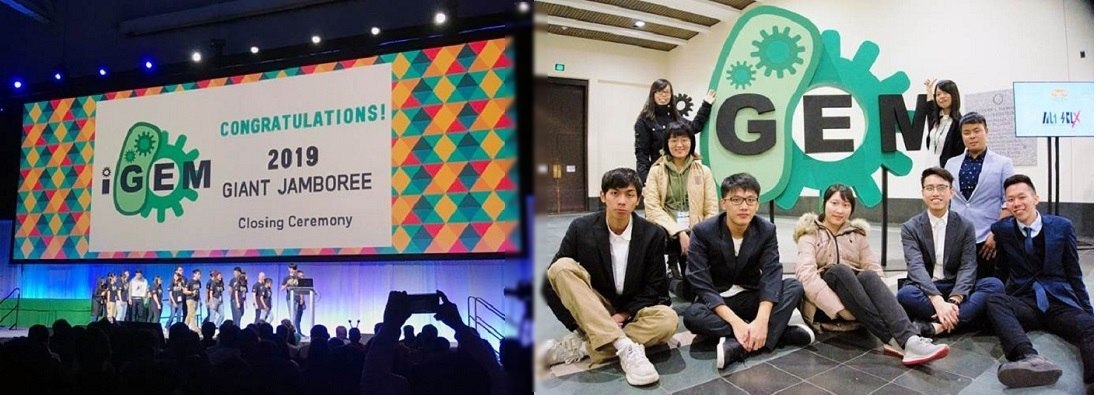 Gold medal: 2019, 2020 iGEM global competition (Chinese Content)Image