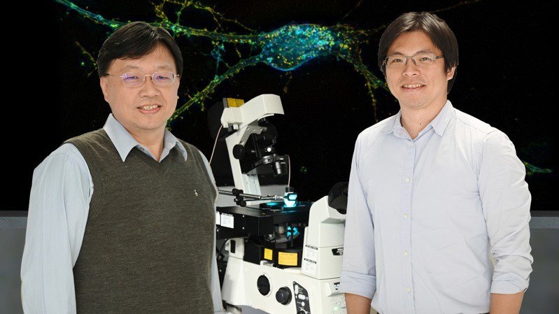 News Headlines: DMS researchers use ultrasound to treat Parkinson’s disease (Chinese content)Image
